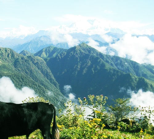 PHOKTEY DARA TREK